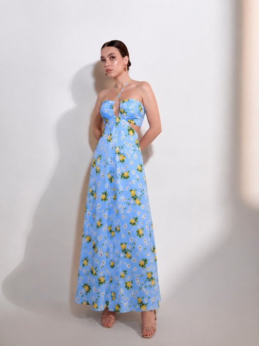 Lemon Blossom Maxi Dress